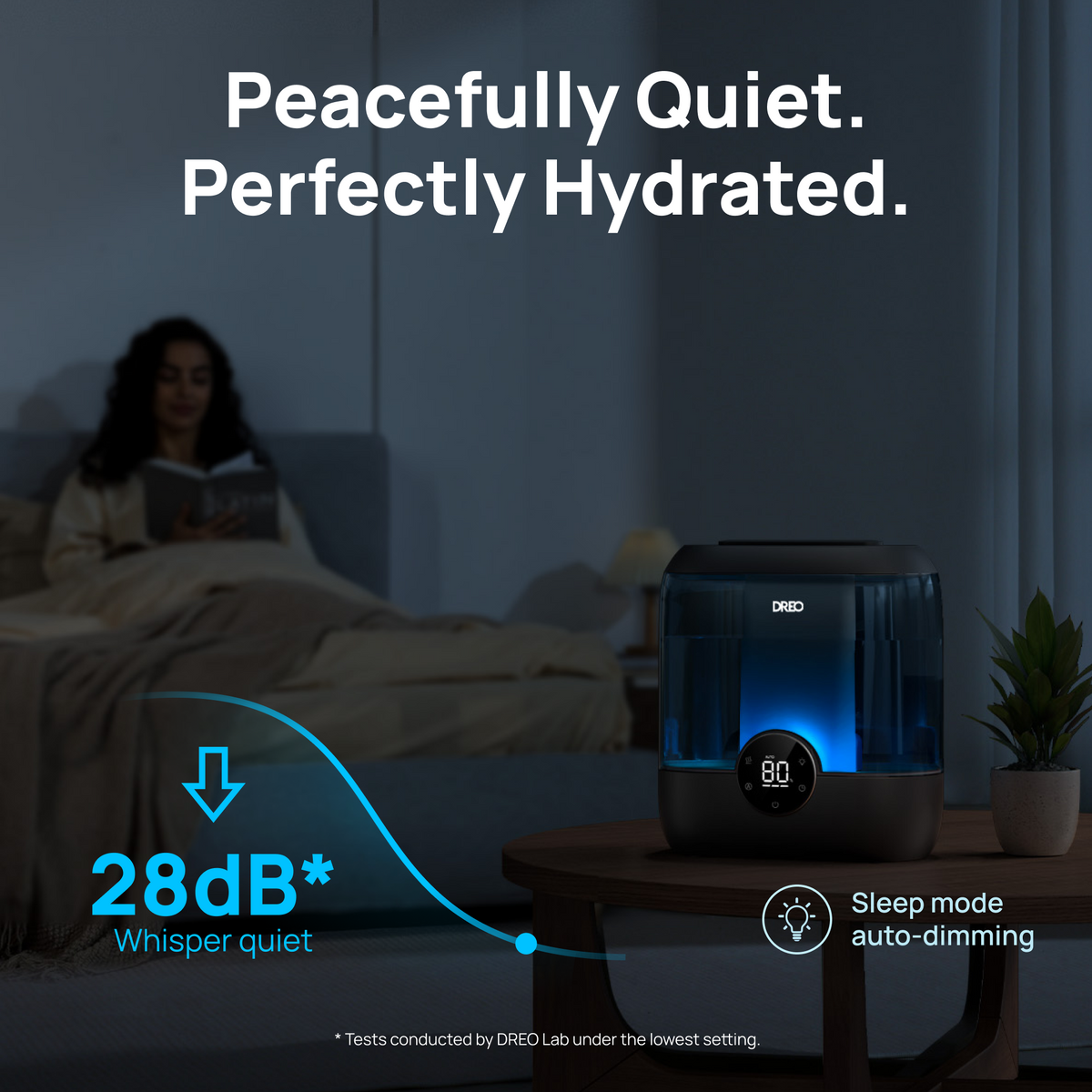 Humidifier 524S
