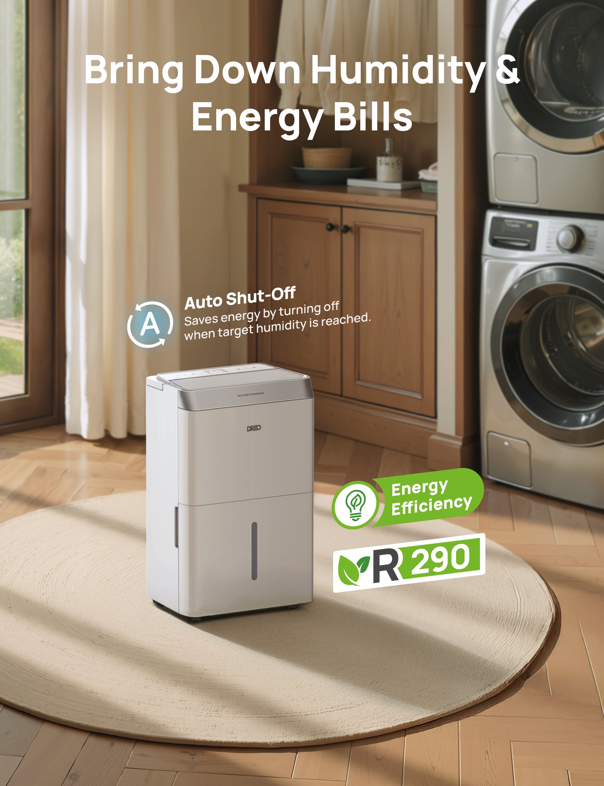 Bring Down Humidity &
Energy Bills